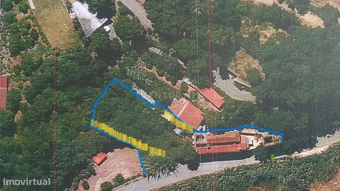 Vendo Quinta em Coimbra-39