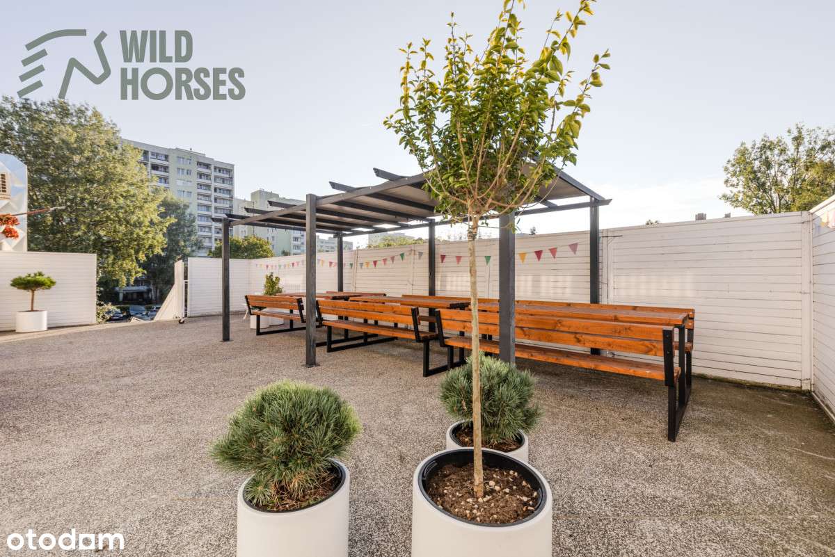 Lokal użytkowy z najemcami-1