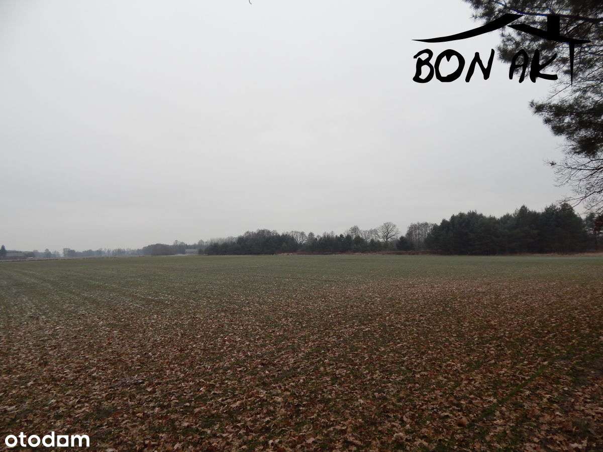 Działka rolna-3
