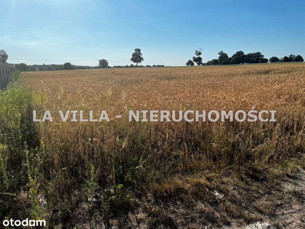 Działka na hale, magazyny, usługi blisko Wschowy - Pełny obrazek: 5/8