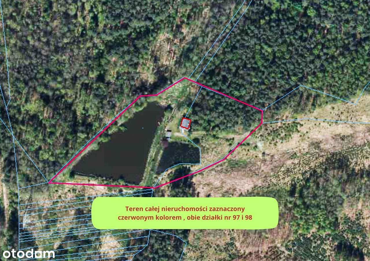 Posiadłość Przegędza - Staw, Las-13