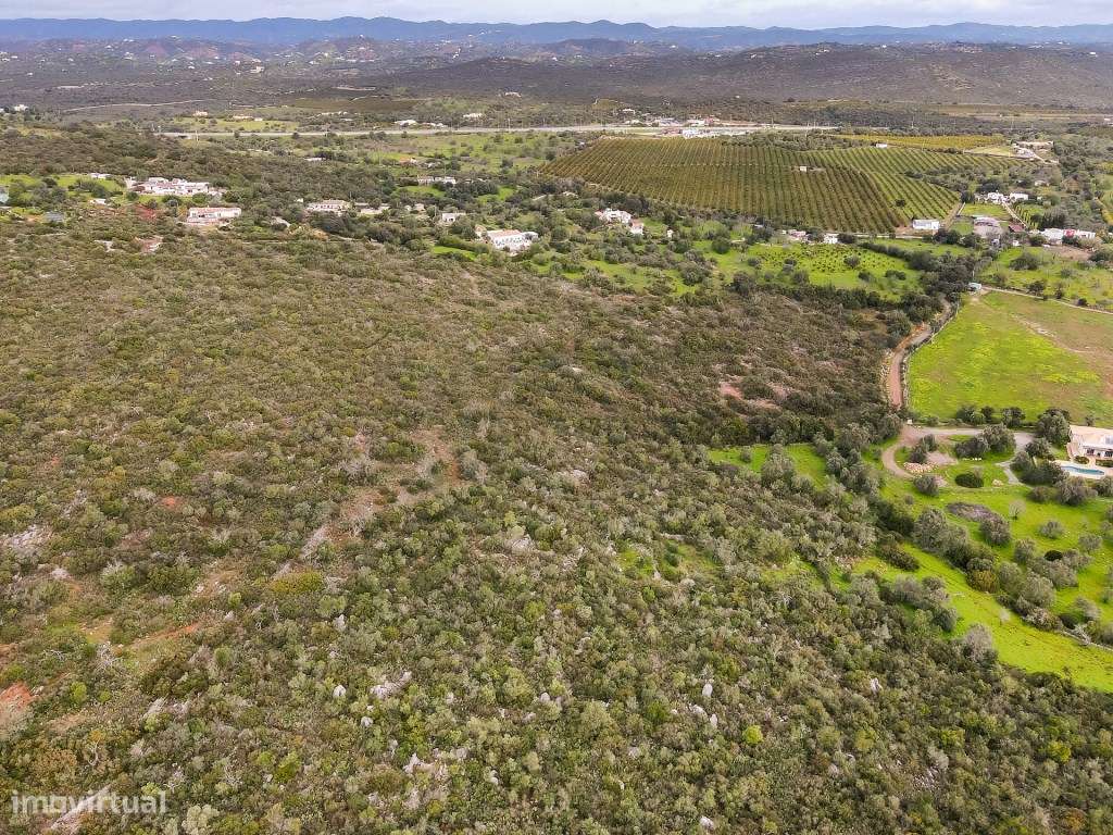 Terreno com 85,640 m2 localizado em Foupana, Olhão, Algarve - Grande imagem: 5/22