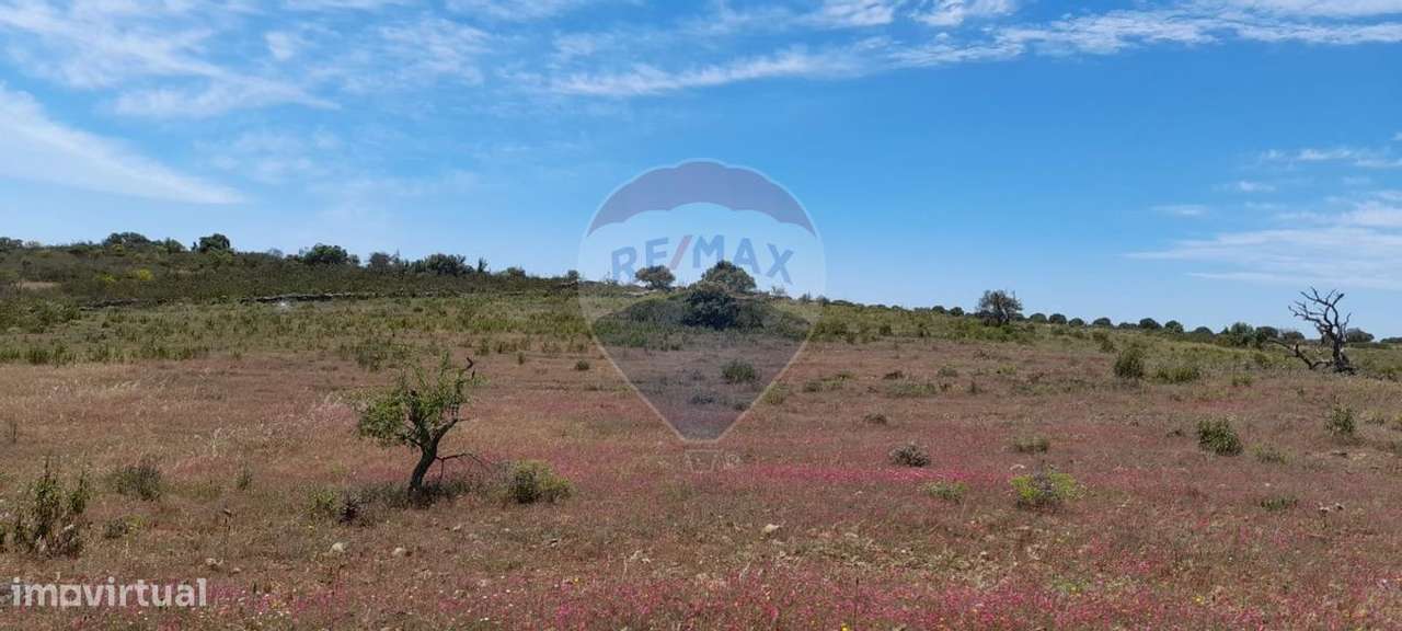 Terreno  para venda - Grande imagem: 3/6