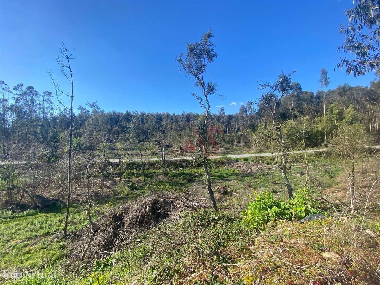 Terreno de Construção com 3.109m2 em Sousela, Lousada - Grande imagem: 4/6