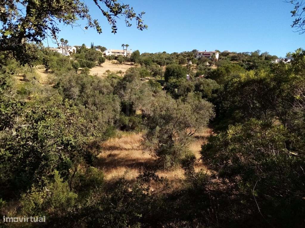Terreno rústico com uma área de 3207 m2, Loulé, Algarve - Grande imagem: 2/23