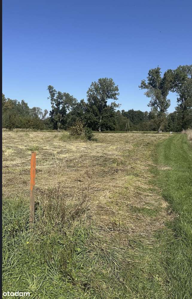 Działka budowlana brzeszcze ul. Piekarska - Pełny obrazek: 5/9