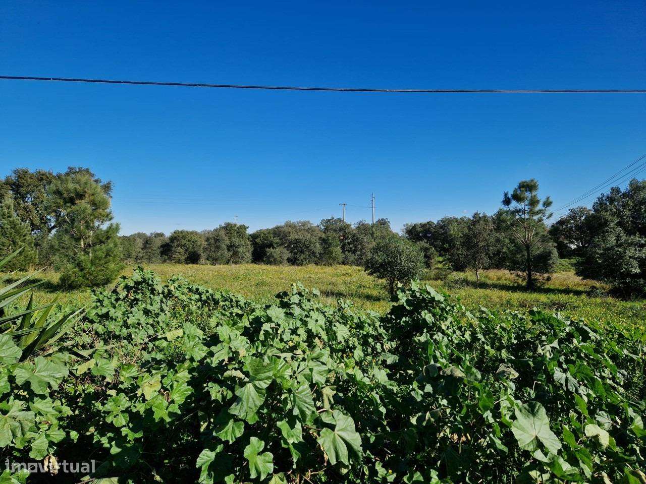 Terreno Padeiras - Grande imagem: 4/8