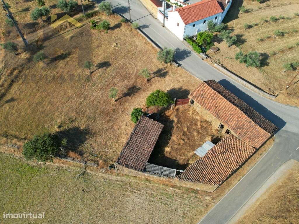 Quinta com Muito Potencial - Sarzedas, Castelo Branco - Grande imagem: 3/23