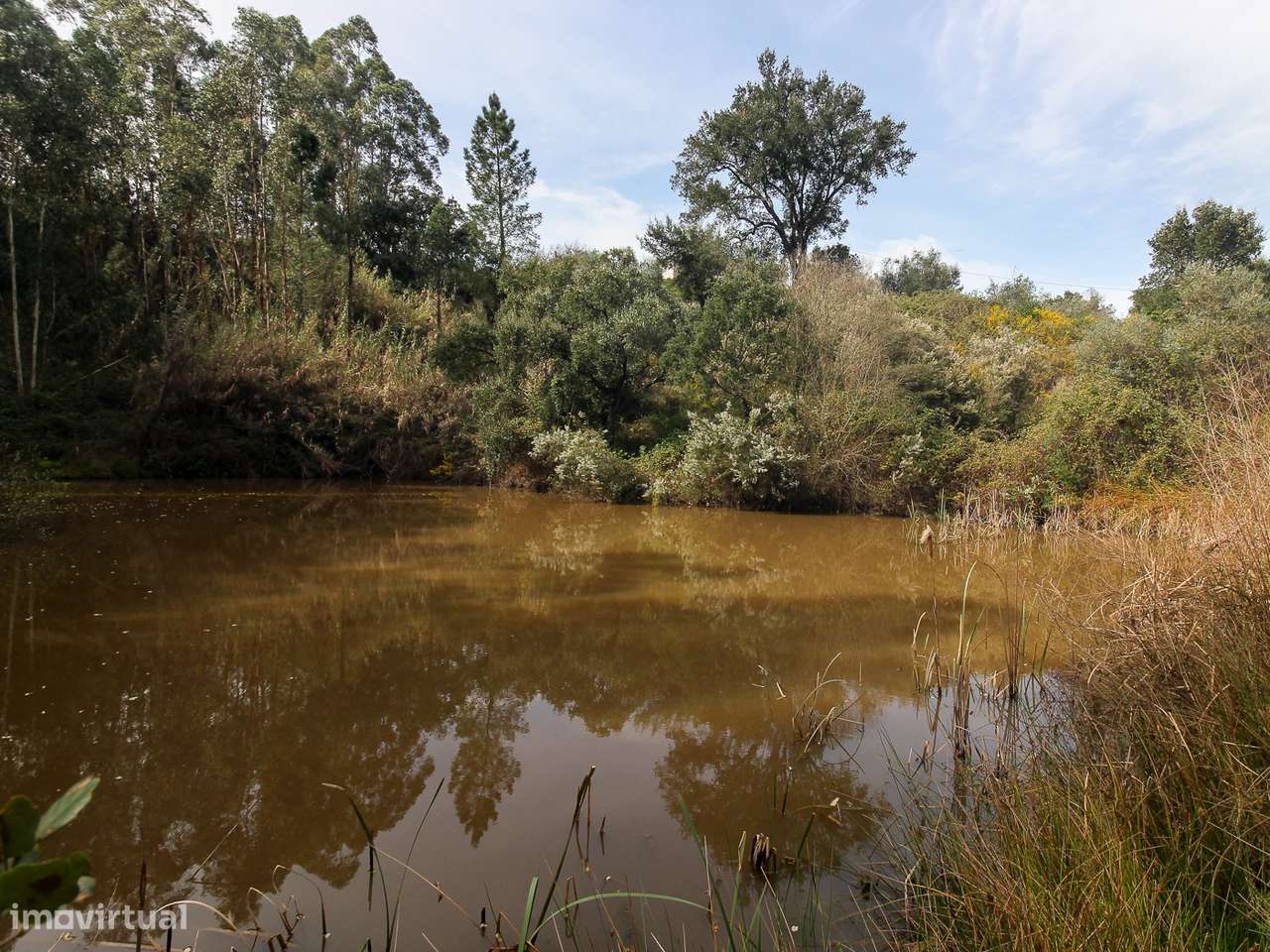 Terreno com cerca de 1 Hectare-13