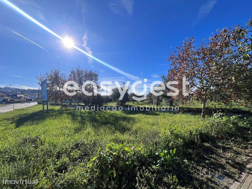 Terreno misto com ruína e 13083m2 de área total, em Abrantes - Grande imagem: 4/25