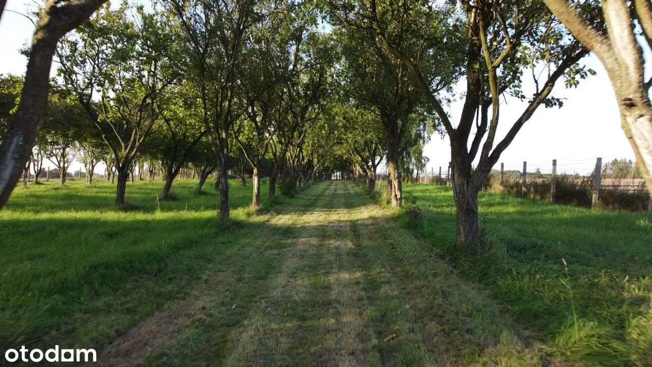 Działka budowlano-rekreacyjna Jarszewo - Pełny obrazek: 3/20