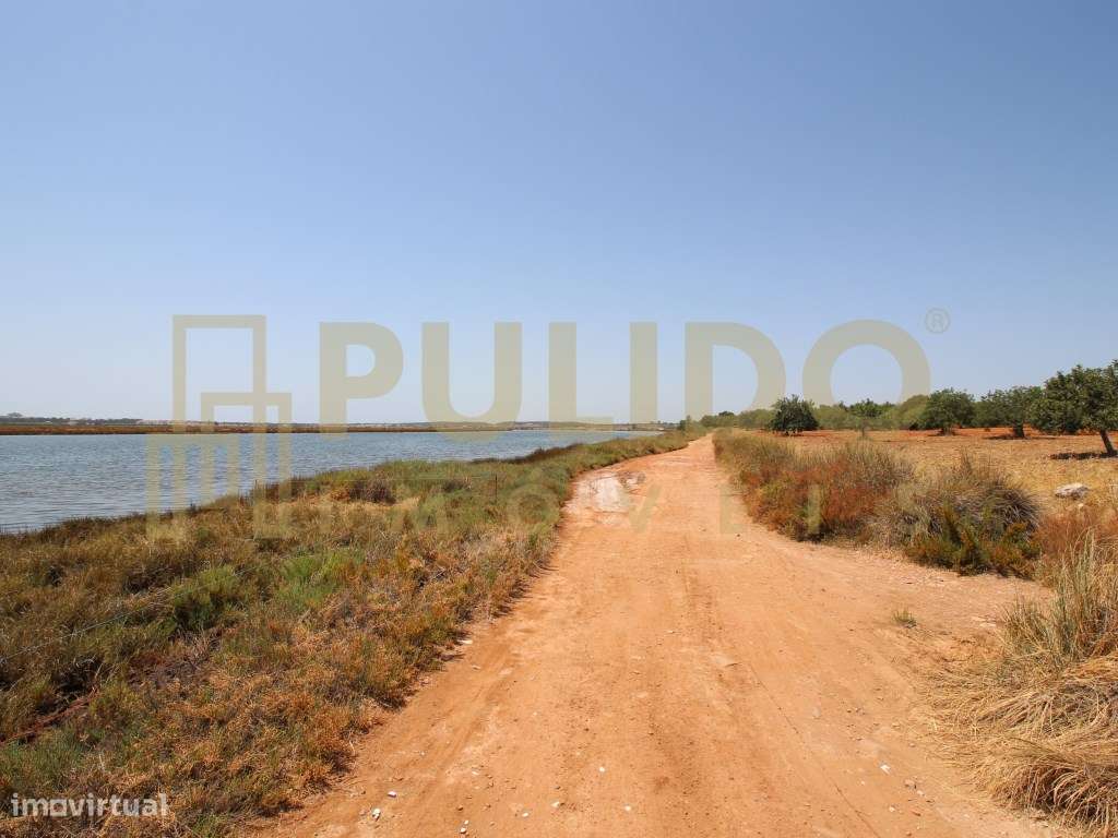 Quinta em Castro Marim a 5km da praia-18