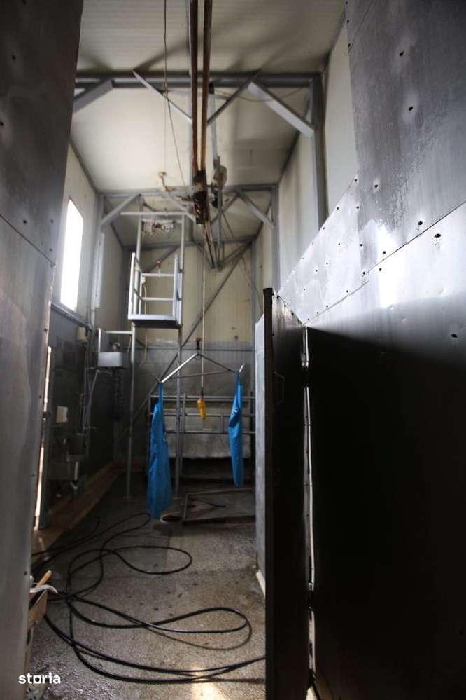 Abator complet functional cu grajduri pentru animale in Bod Colonie-8