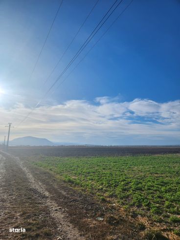 Vanzare loturi teren pentru case cu utilitati Halchiu-1
