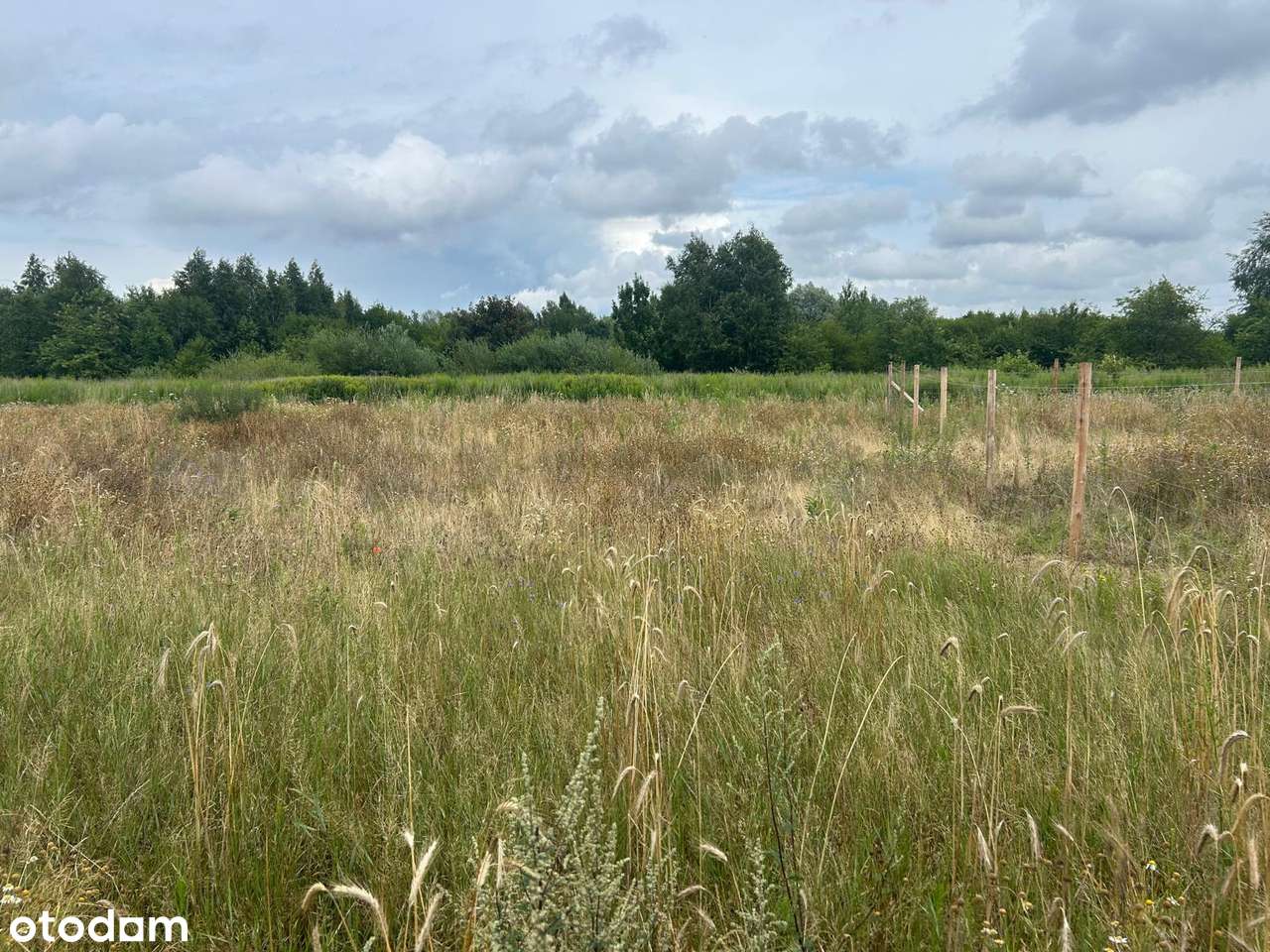 Działki budowlane z WZ, w zielonej części Poznania - Radojewo! - Pełny obrazek: 3/5