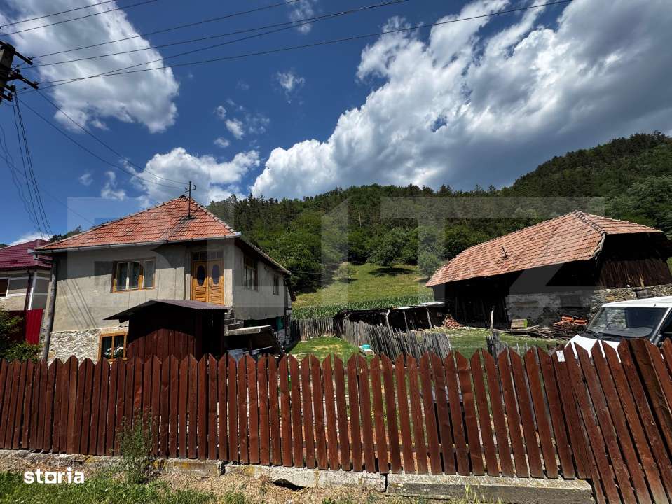 Casa cu 6000 mp teren, Poiana Ampoiului - Metes - Imagine principală: 2/9