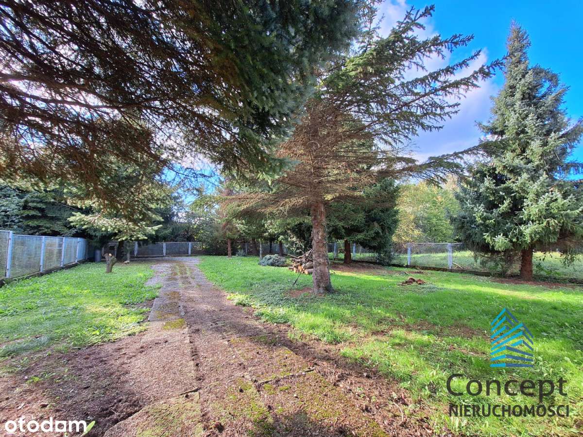 Brzesko, dom i 36 arów działek w centrum!-12