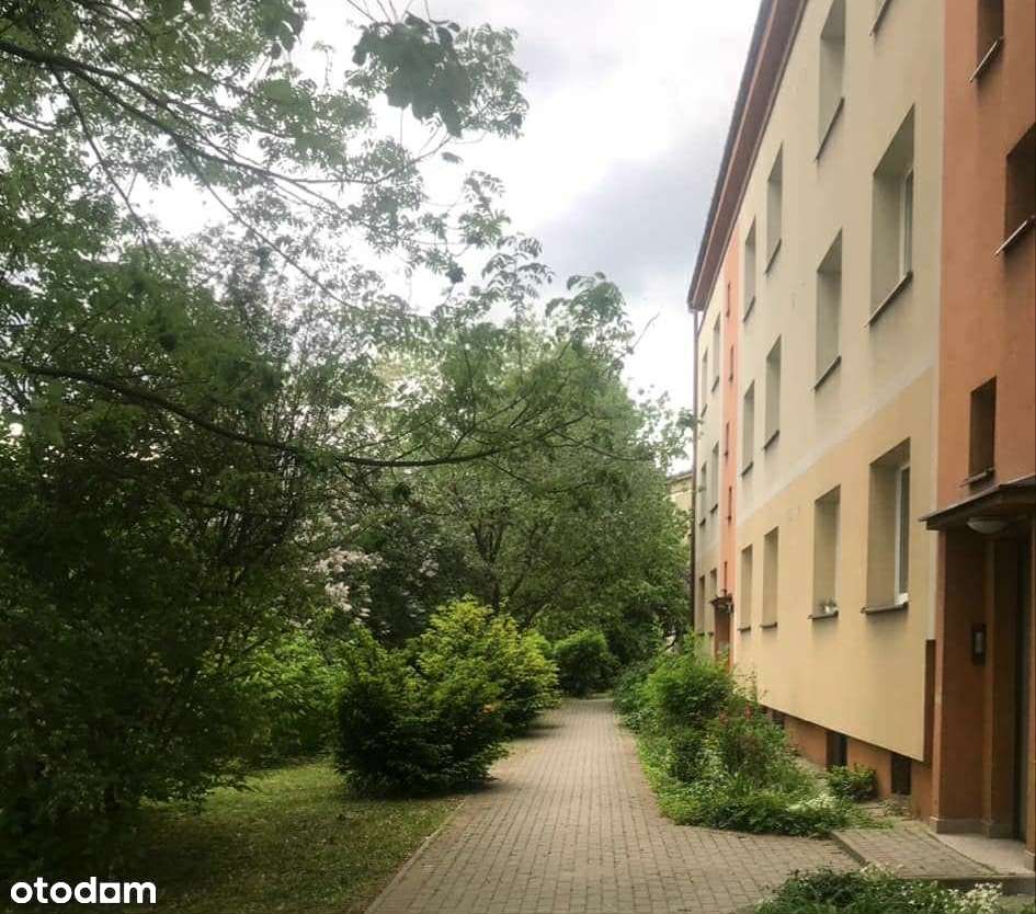 Przytulne 2-pokojowe mieszkanie z balkonem + piwnica + duży strych - Pełny obrazek: 1/7