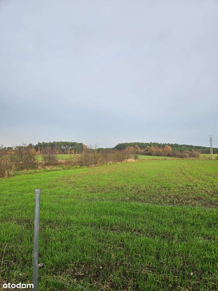 Dom 200m2 na wielkiej działce-świetna lokalizacja,jeszcze lepsza cena!-15