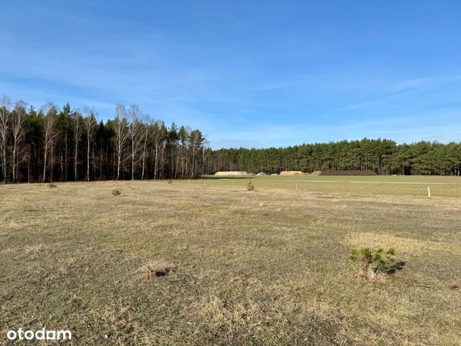 Działki przy lesie, 1500m od jeziora Białego