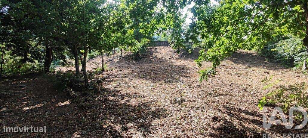 Terreno em Romarigães - Grande imagem: 2/24