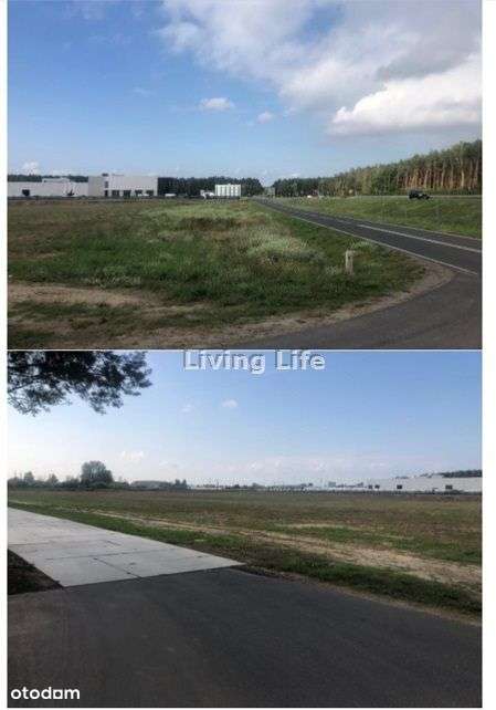 Nieruchomość pod Ag, Golęczewo - Pełny obrazek: 4/5