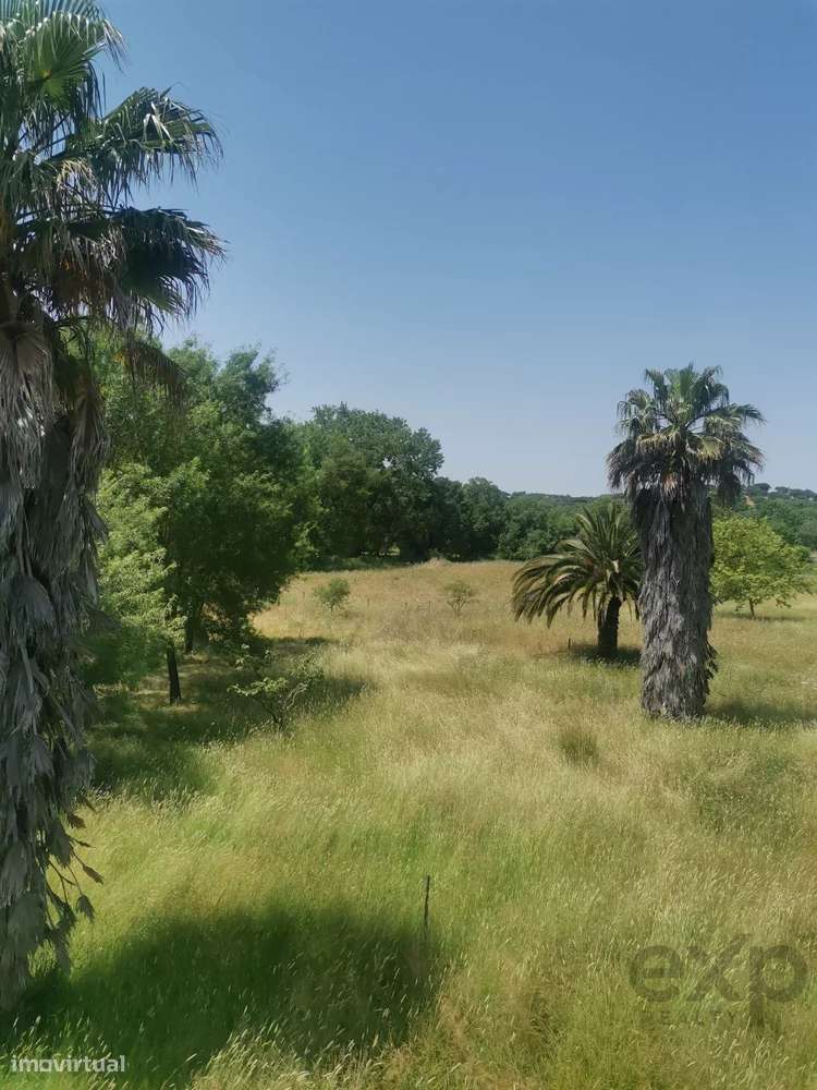 Herdade em Arraiolos, Évora - Grande imagem: 5/32