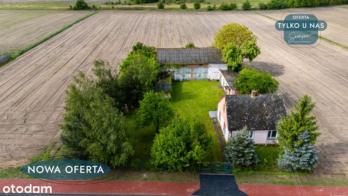 Dom wśród drzew i śpiewu ptaków - Pełny obrazek: 1/20