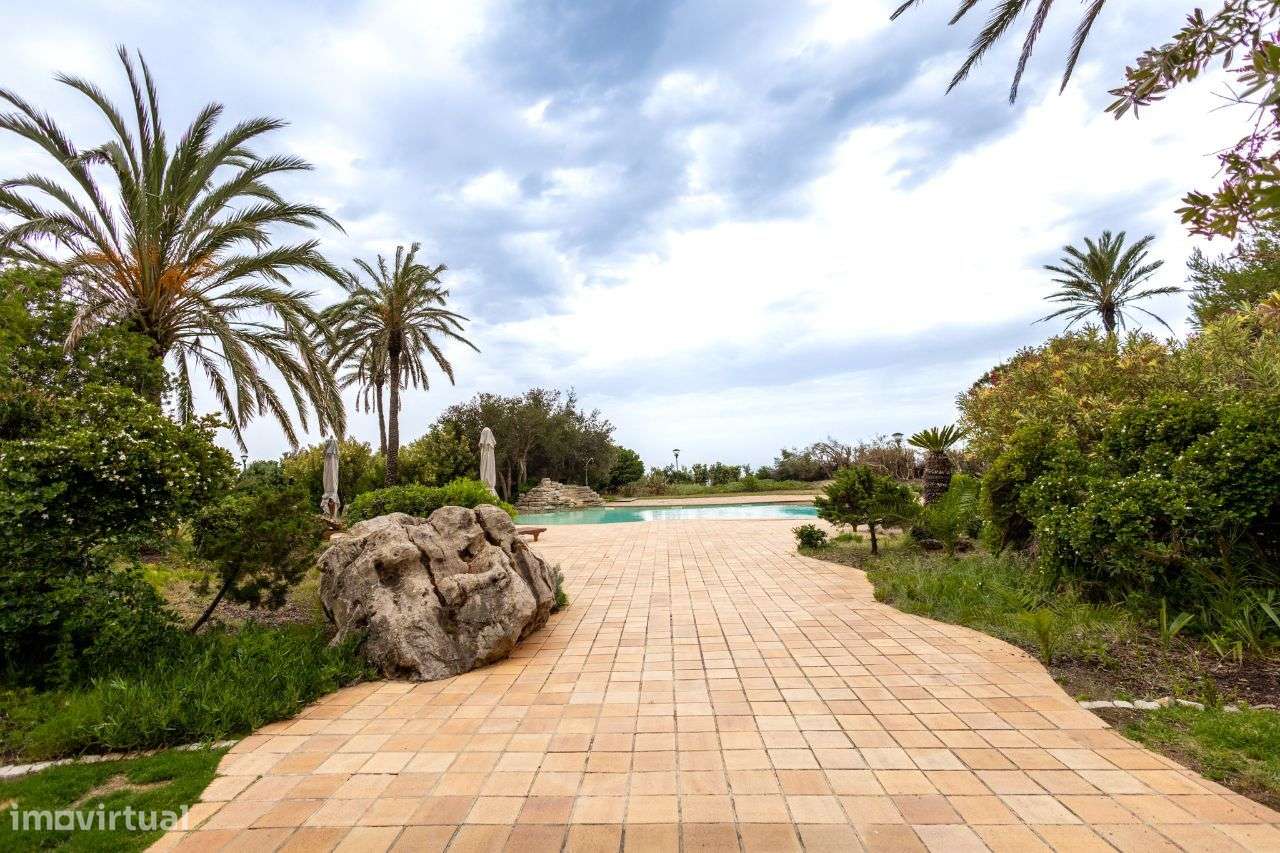 Oceanfront Dreamview-49