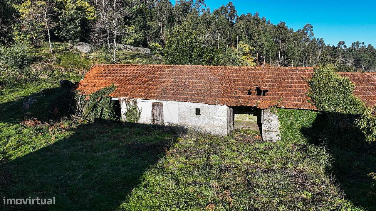 Quinta  para venda-13
