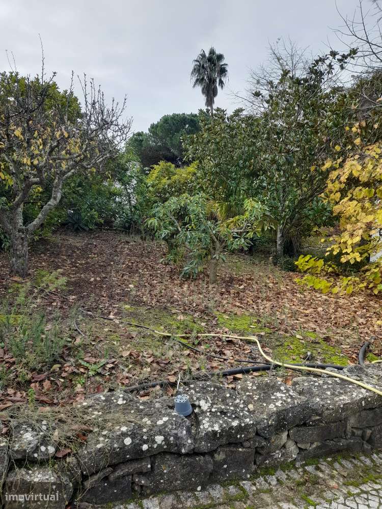 Azeitão/ Parque Natural Arrábida Quinta 7250 m2 com Moradia-31