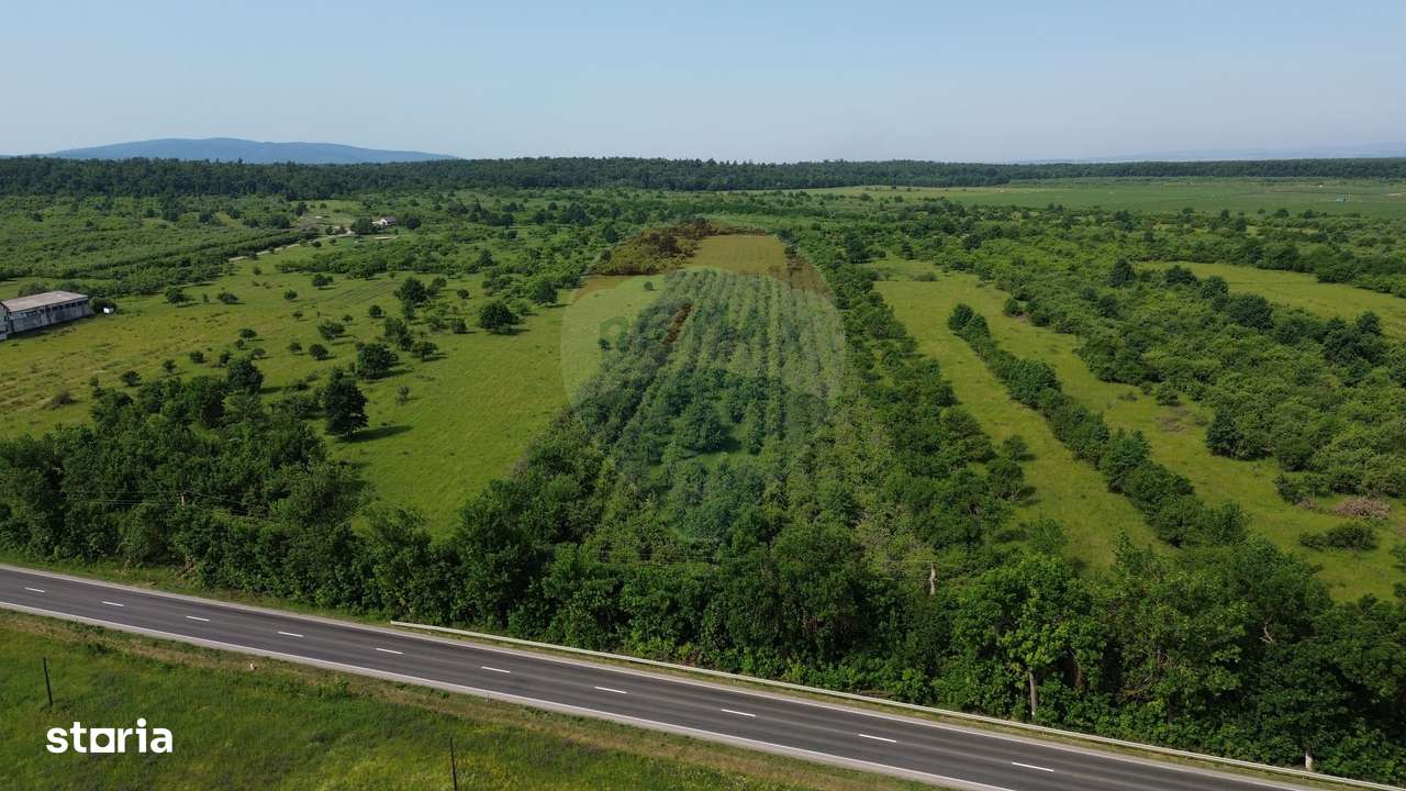 Teren Intravilan de Vanzare la Drum European - Imagine principală: 4/4