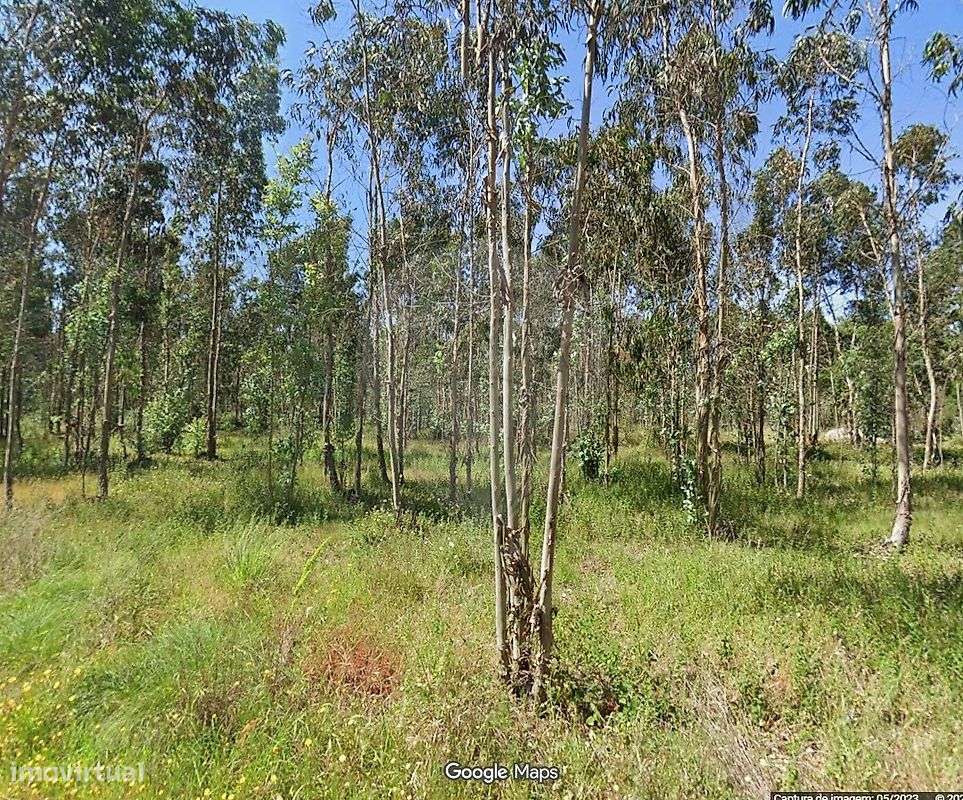 Terreno  para venda - Grande imagem: 3/3