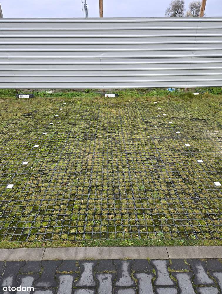 Lokal Użytkowy Dostępny Od Stycznia 2026 ! - Pełny obrazek: 5/19