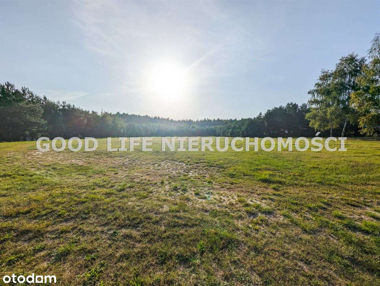 Hala 2000 m2 działka 3,63 ha przy lotnisku - Pełny obrazek: 4/14