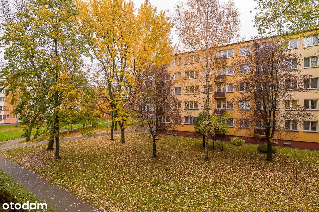 3 pokoje | 1 piętro | dwustronne |po remoncie klatki  | blisko centrum-16
