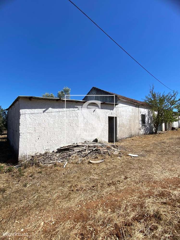Terreno com Edifício Armazém – Charneca, Vila Morena (Alcanena) - Grande imagem: 3/6