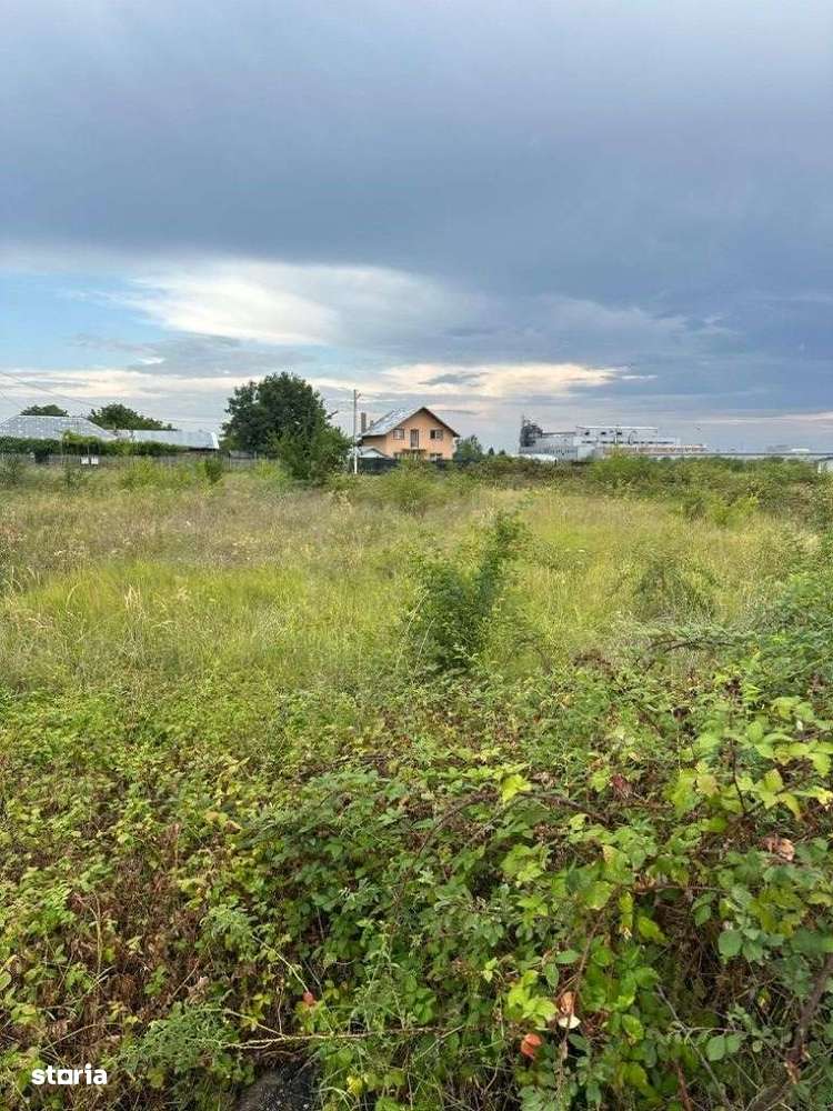 Florești - teren intravilan 3500mp - 15 Euro/mp - Imagine principală: 2/4