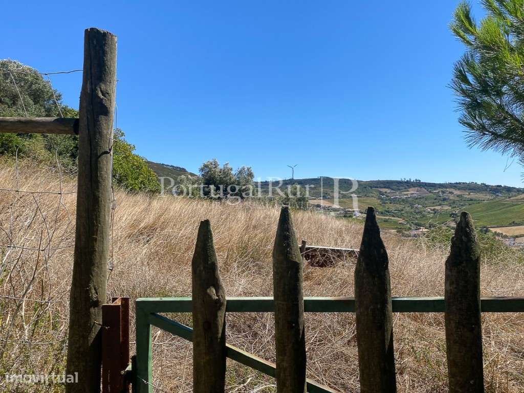 Complexo Agricola com 35.640 m² e 1.907 m² de área de construção-16
