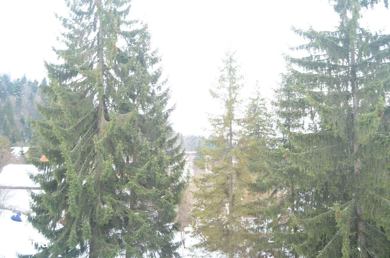 Apartament 3 camere cu balcon și terasă - Imagine principală: 5/16