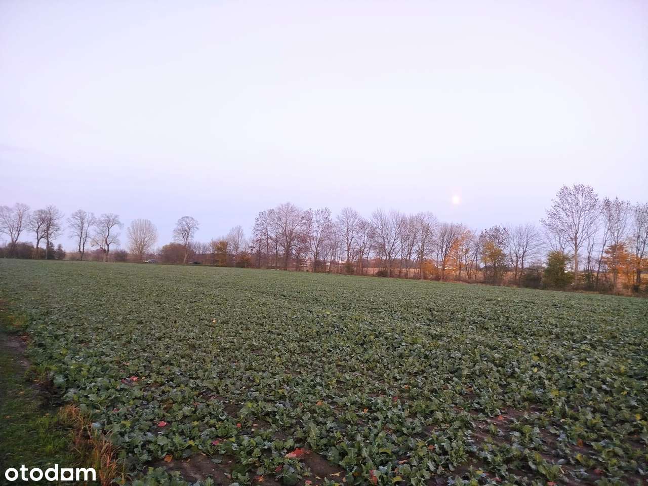 Działki budowlane/Bystrzyca/Warunki Zabudowy-0