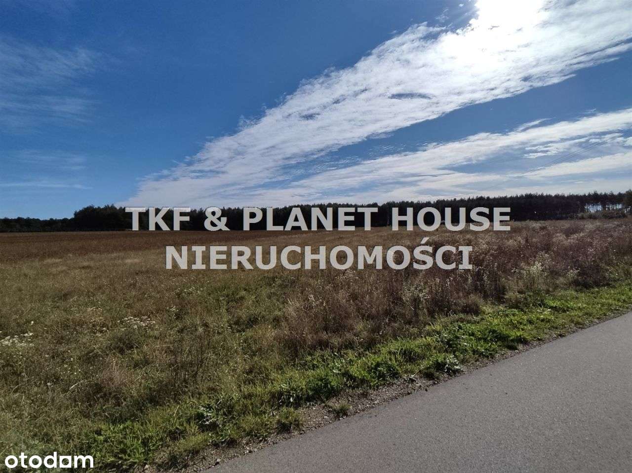 Działka 5000 m2 na sprzedaż Kłonna gm. Odrzywół - Pełny obrazek: 4/8