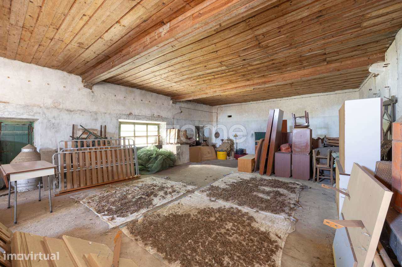 Lagar || Montalvo, Constância-4