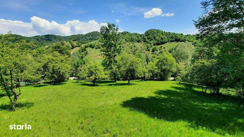 teren Provita de Sus - Imagine principală: 4/4