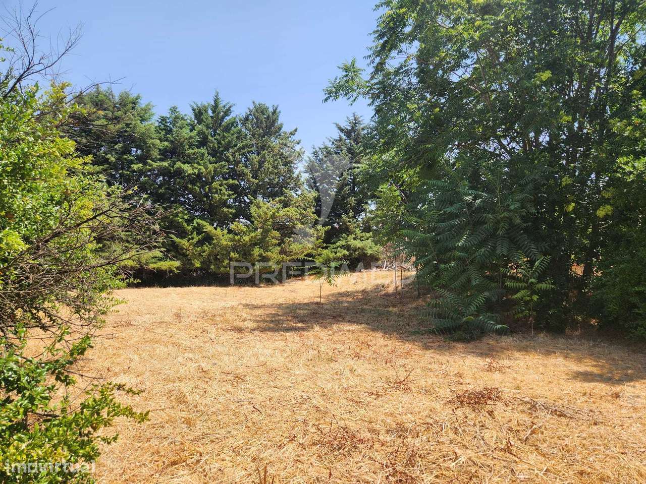 QUINTA HORTA DAS LARANJEIRAS ELVAS BOA FÉ - Grande imagem: 5/29