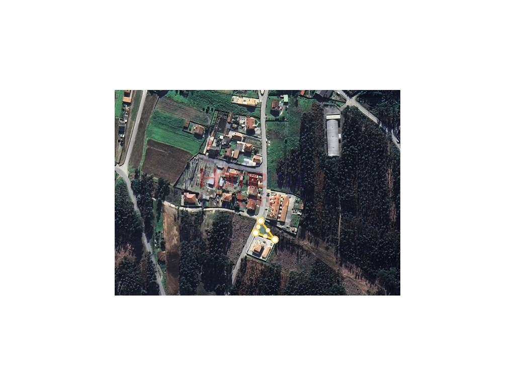 Terreno Urbano na Branca - Grande imagem: 4/30