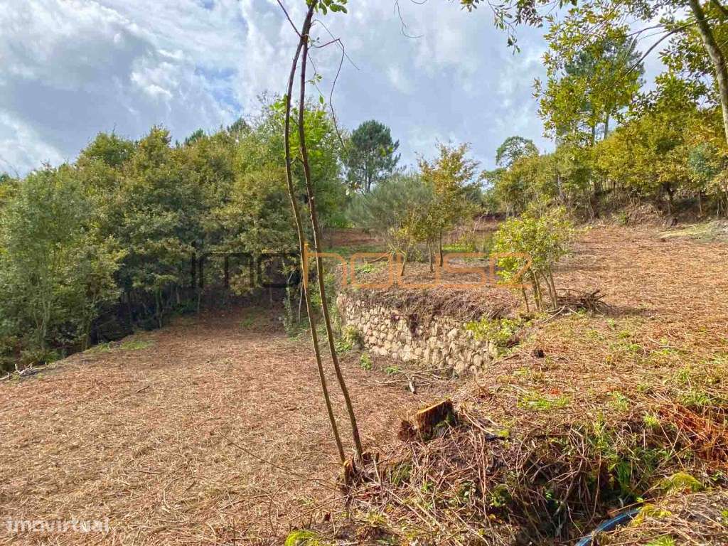 Quinta 2,6ha - Vista panorâmica e várias edificações-40