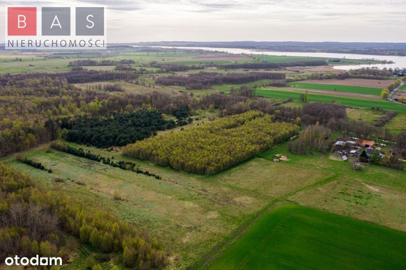 Działka leśna w Kukułowie gm. Kamień Pomorski