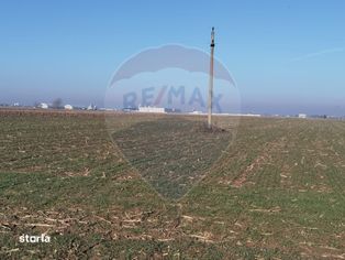Teren Intravilan Arabil 7500 mp | Bolintin-Vale / Strada Poarta Luncii - Imagine principală: 2/5