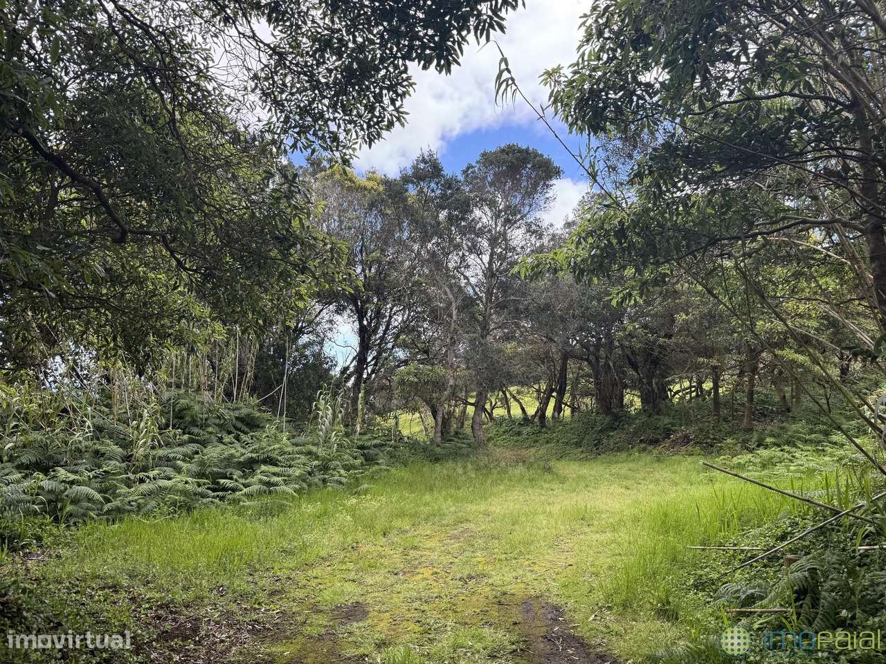 Venda Moradia-16